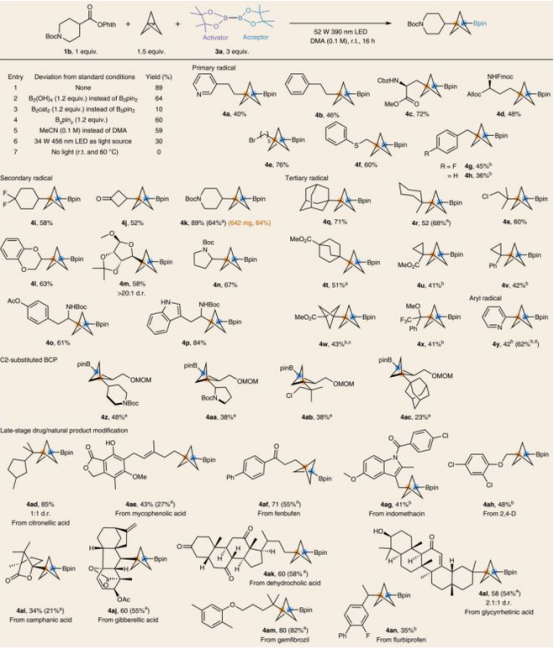 Table1.由氧化還原活性酯合成BCP-硼酸衍生物（圖片來(lái)源：Nat. Chem.）