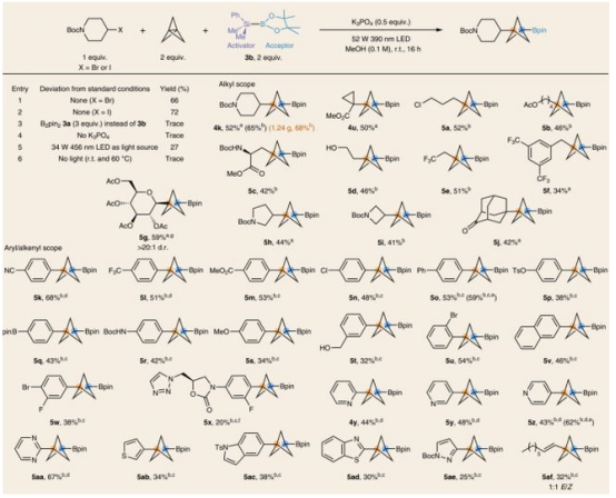 Table3.鹵代物合成BCP-硼酸衍生物（圖片來(lái)源：Nat. Chem.）