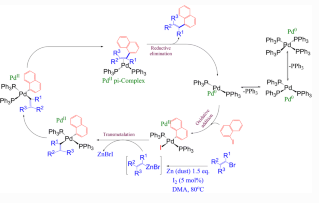 有機鋅試劑在連續(xù)流化學中的應用：根岸耦合